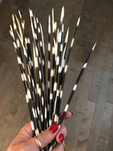 Load image into Gallery viewer, Porcupine Quill Chevron Necklace